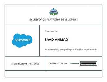 Platform Developer I