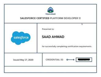 Platform Developer II